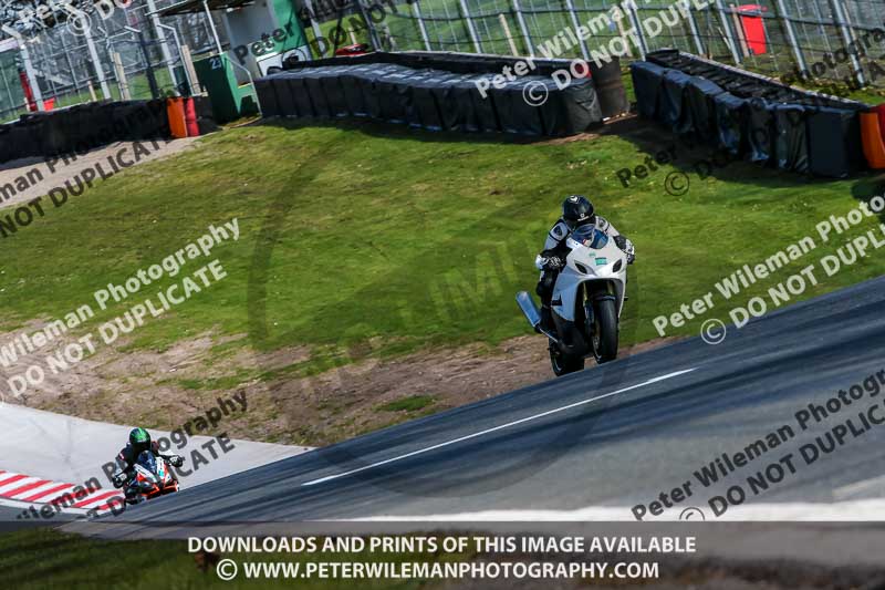 Oulton Park 20th March 2020;PJ Motorsport Photography 2020;anglesey;brands hatch;cadwell park;croft;donington park;enduro digital images;event digital images;eventdigitalimages;mallory;no limits;oulton park;peter wileman photography;racing digital images;silverstone;snetterton;trackday digital images;trackday photos;vmcc banbury run;welsh 2 day enduro
